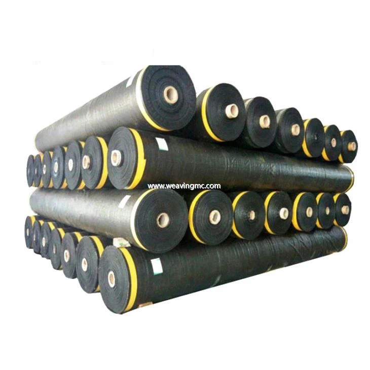 PE Tarpaulin Rolls